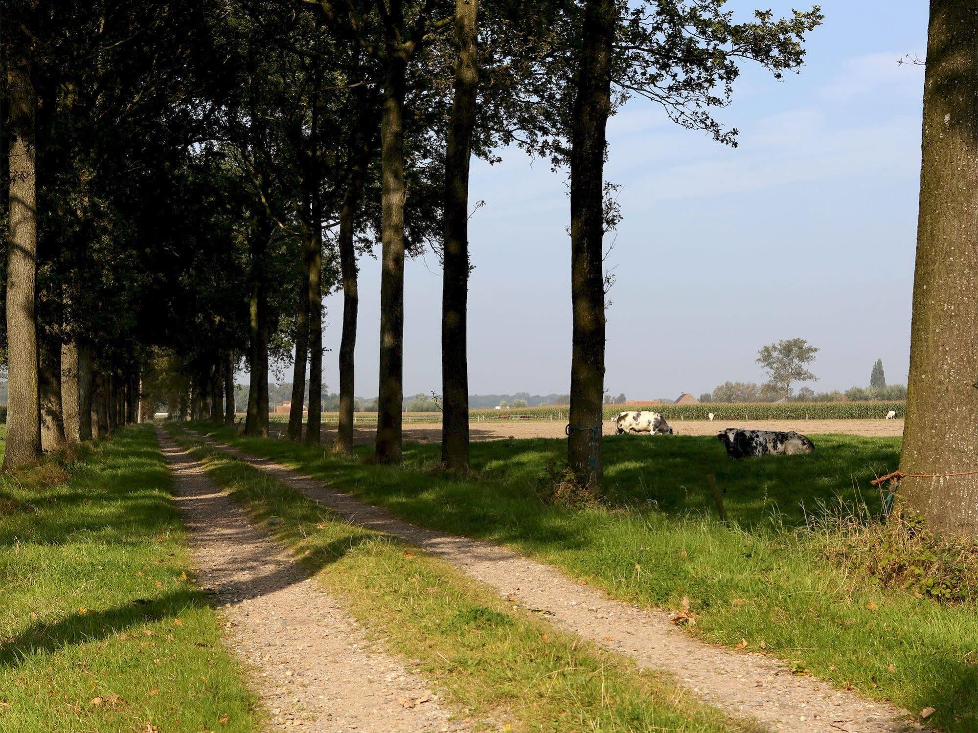 Hotel 'T Roodhof Oostkamp Zewnętrze zdjęcie